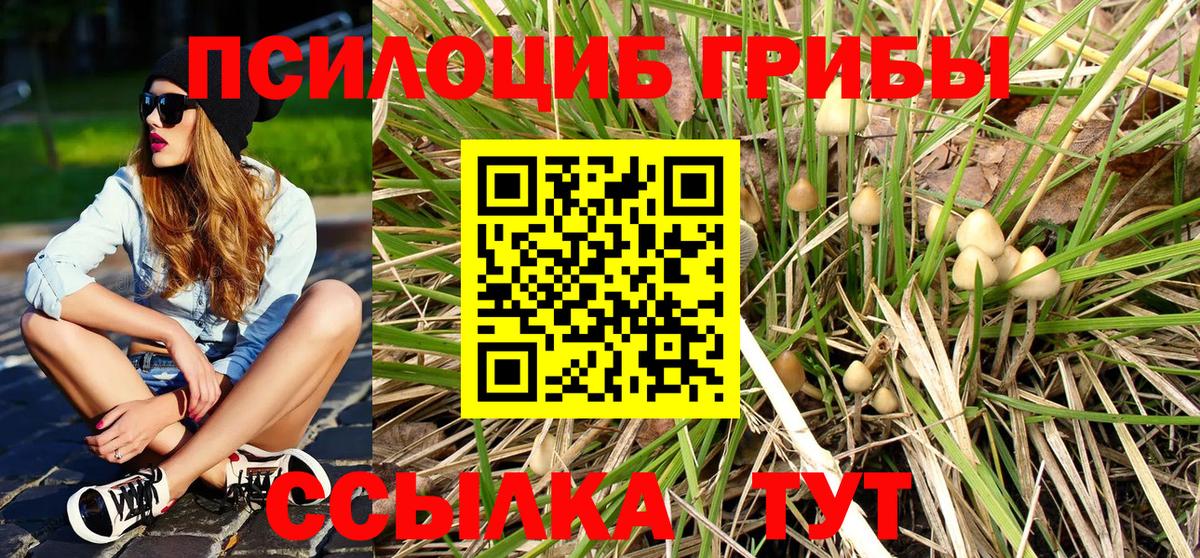 Буйнакск  Галлюциногенные грибы прущие грибы  Вход с VPN 