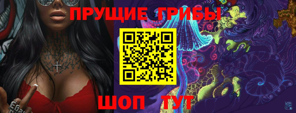 Галлюциногенные грибы прущие грибы Буйнакск